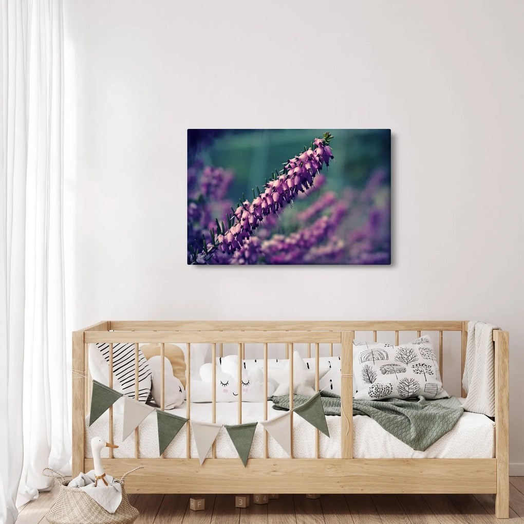 Obraz fialovej kvetiny (90x60 cm)