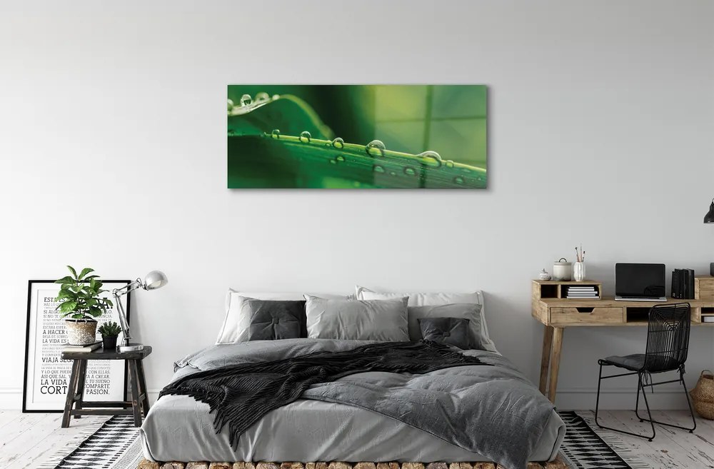 Obraz plexi Kvapky tráva makro 120x60 cm