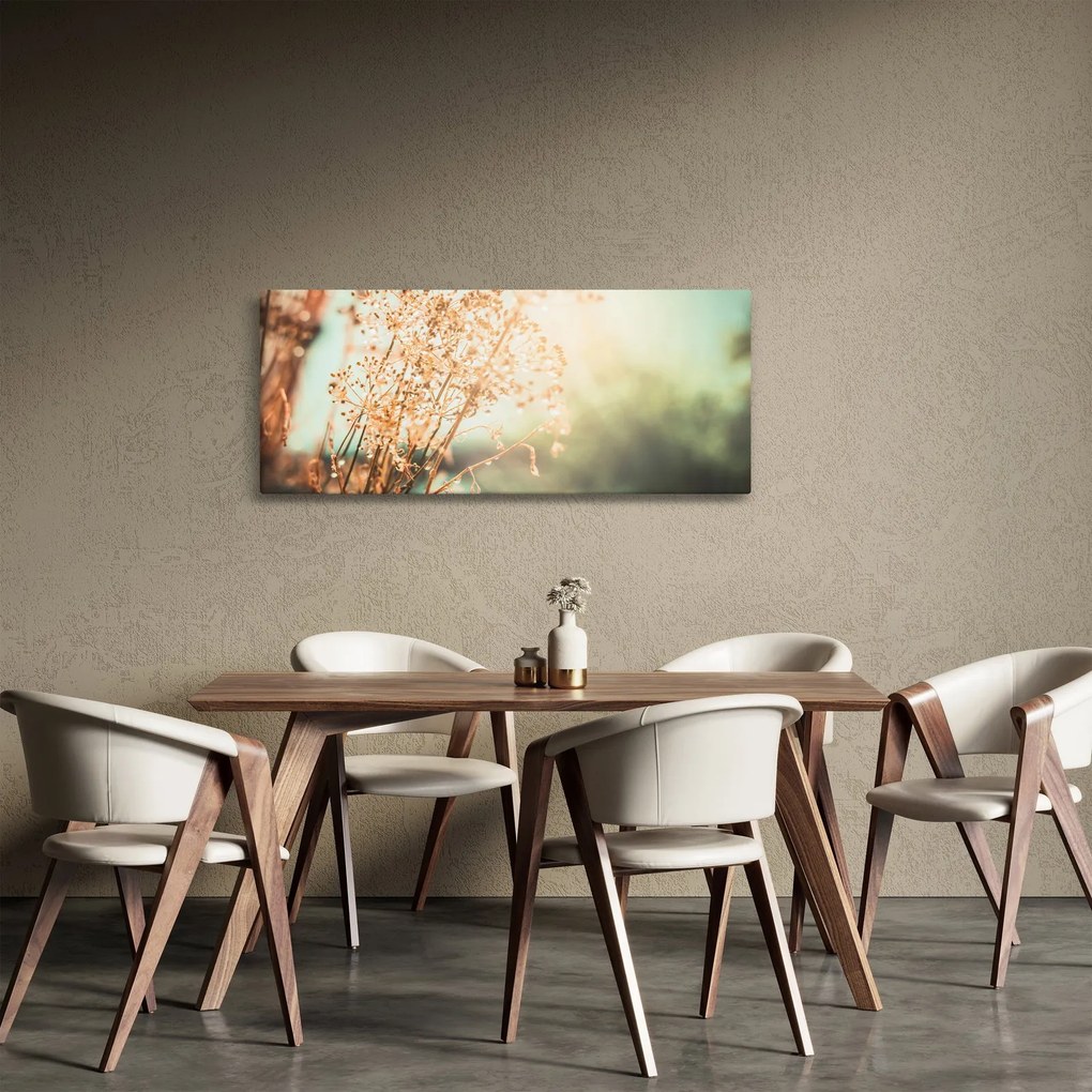 Obraz - Rastliny po daždi (120x50 cm)