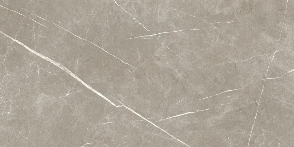 Dlažba Eternal Taupe Natural 60x120 R
