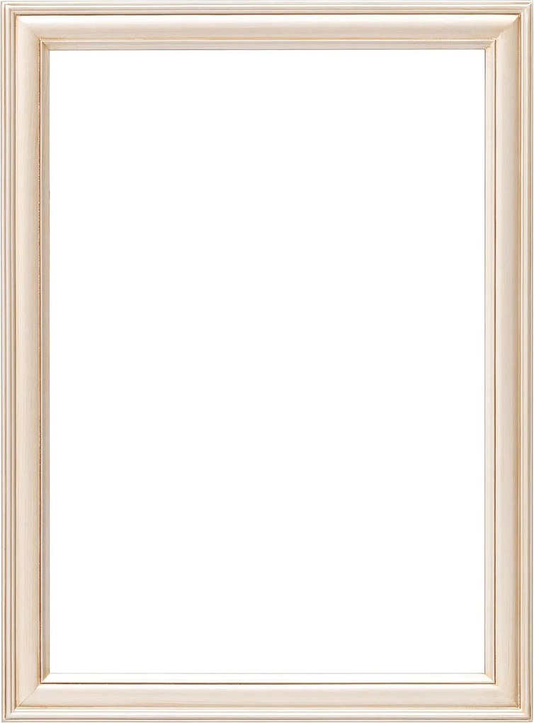 Rám Ricca 60x80cm silver
