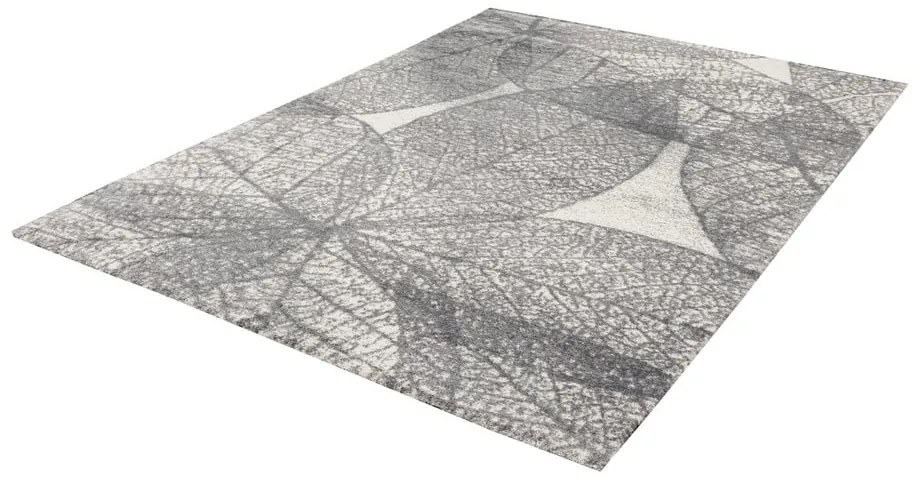 Sivý koberec 160x230 cm Lush – FD