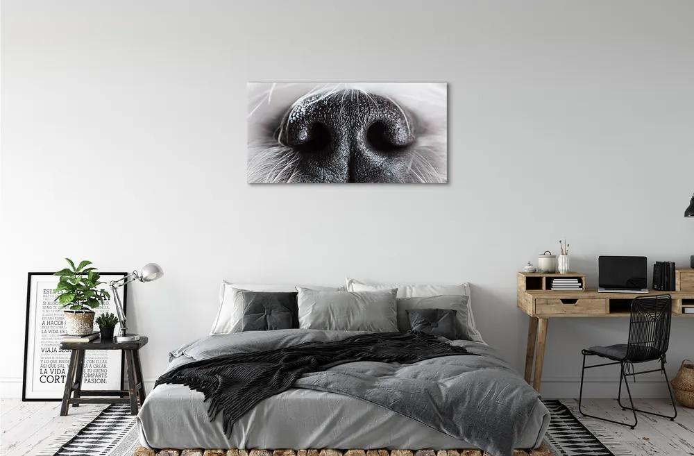 Obraz na plátne psie ňufák 140x70 cm