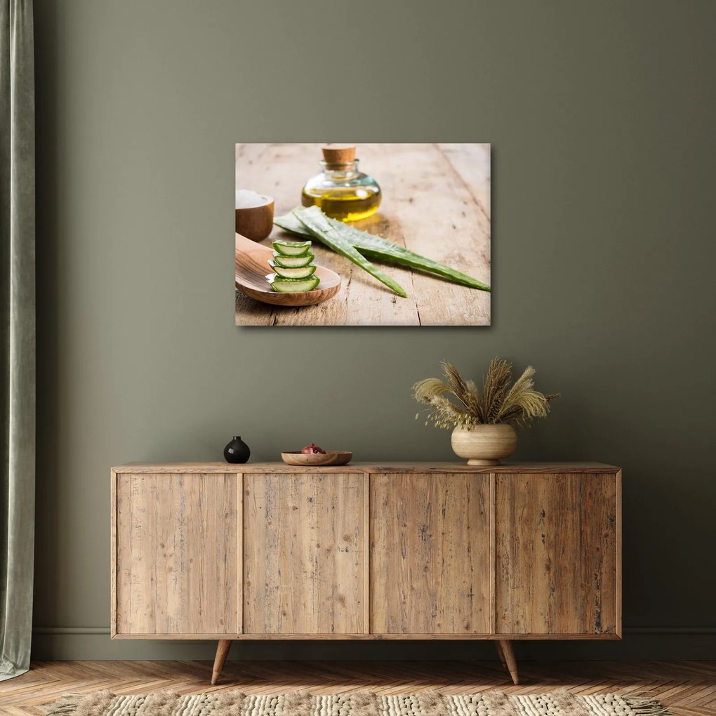 Obraz - Aloe vera (70x50 cm)
