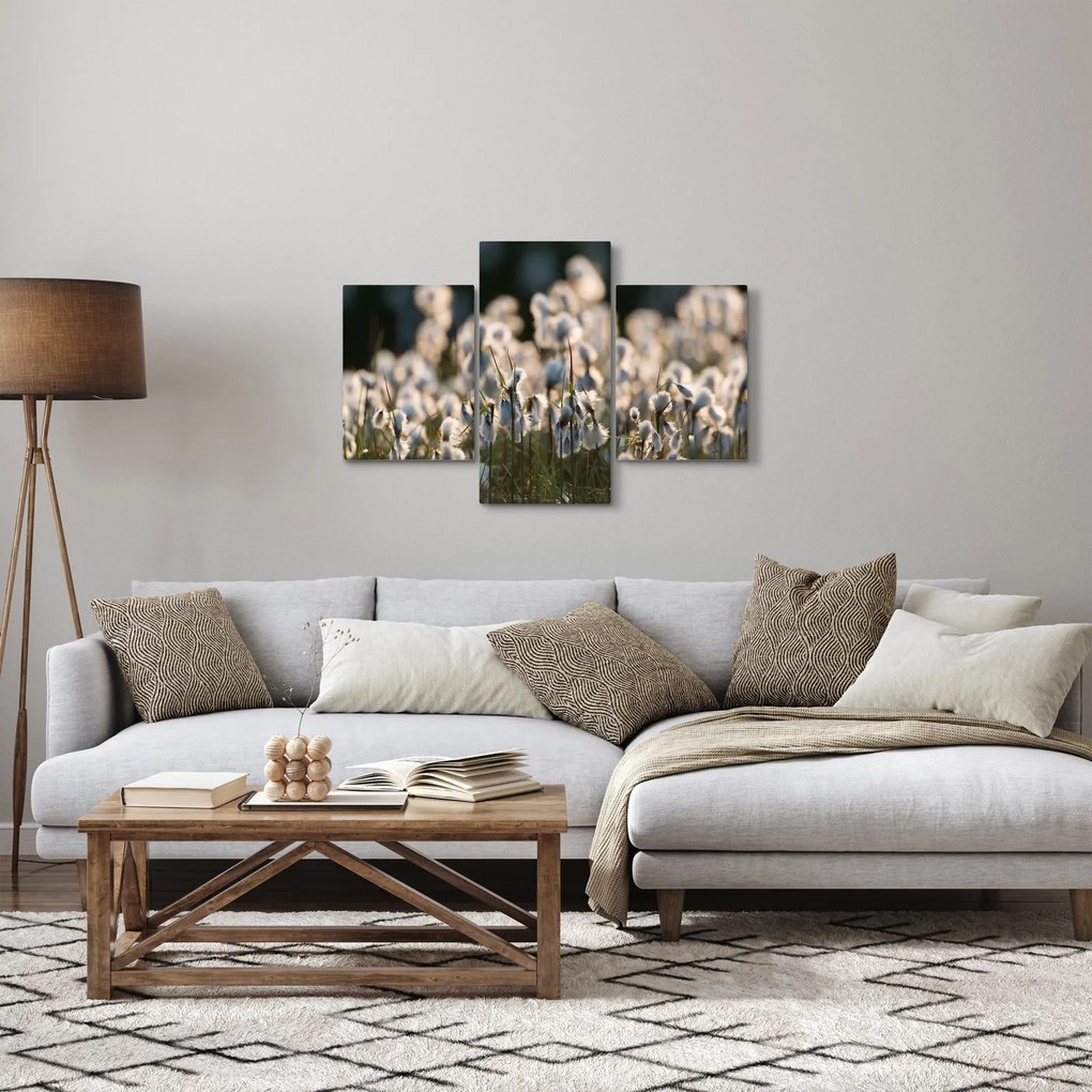 Obraz - Biely páperník (90x60 cm)