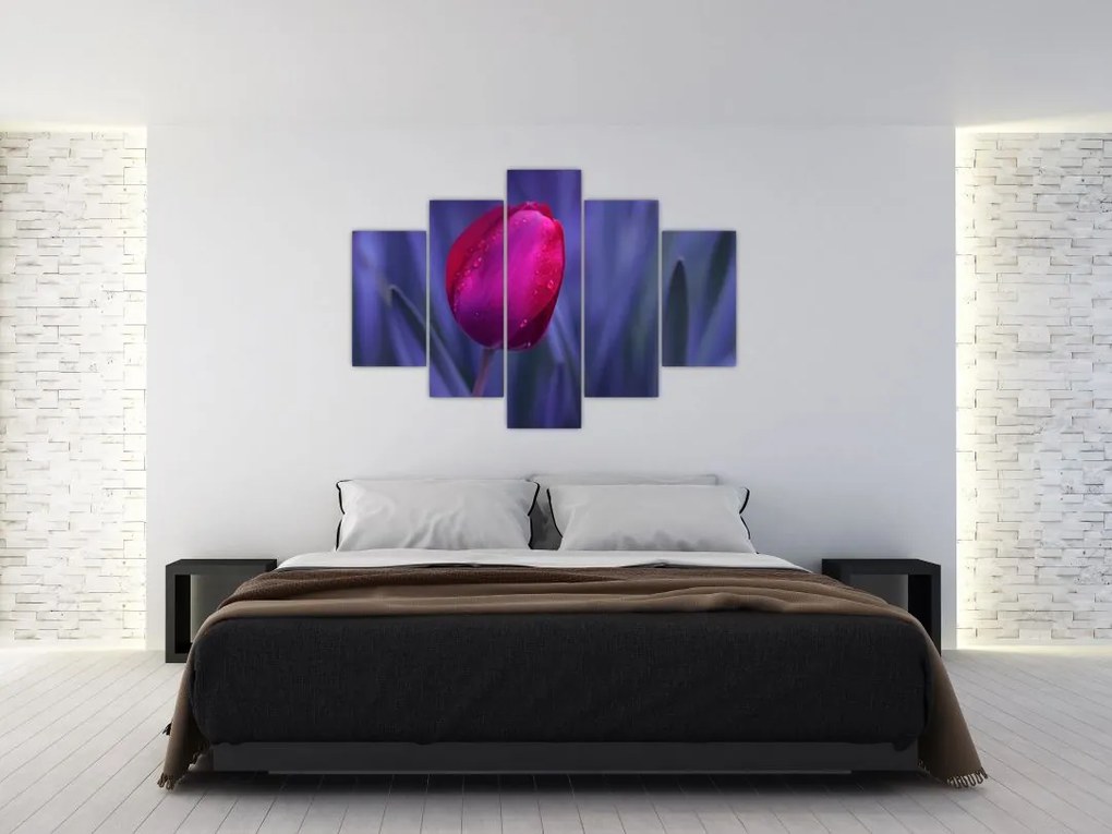 Obraz pupete tulipánu (150x105 cm)