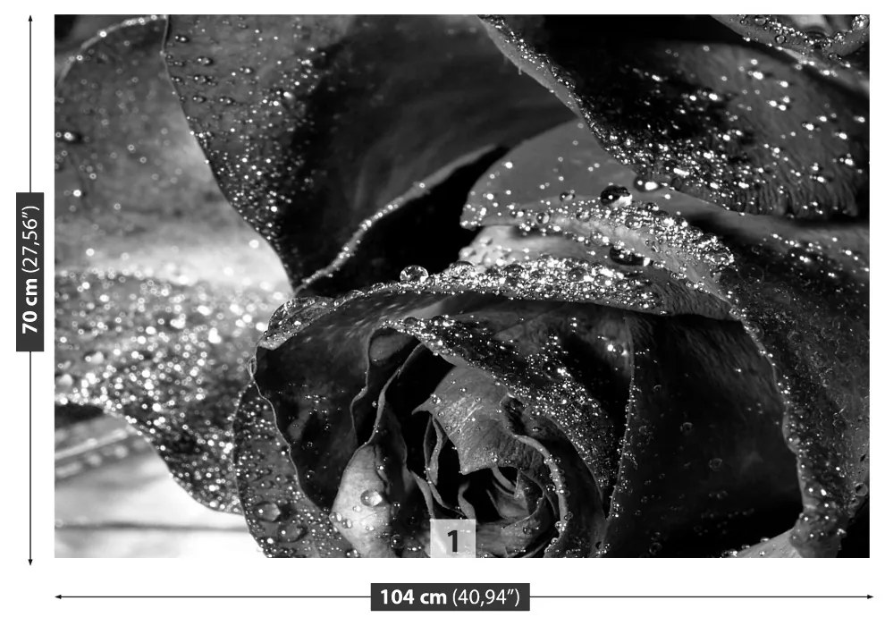 Fototapeta Vliesová Ružová voda 152x104 cm