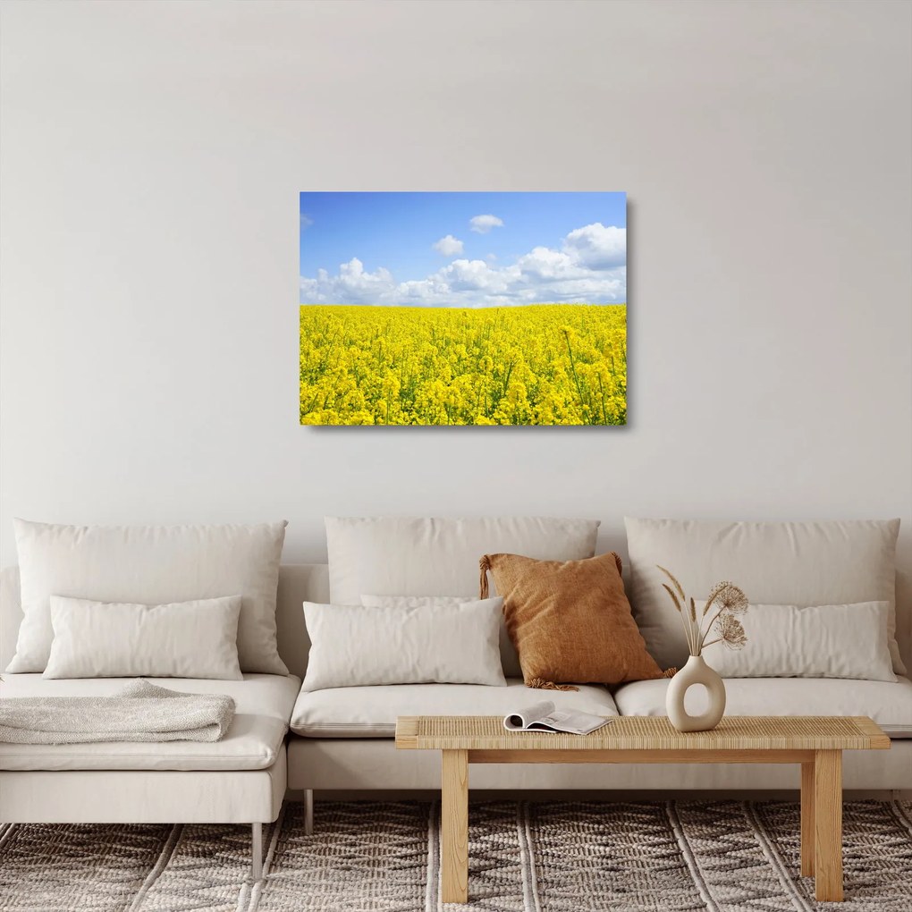 Sklenený obraz žltého poľa (70x50 cm)