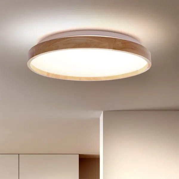 Brilagi - LED stlmiteľné stropné svietidlo ALSON LED/48W/230V 3000-6500K + DO