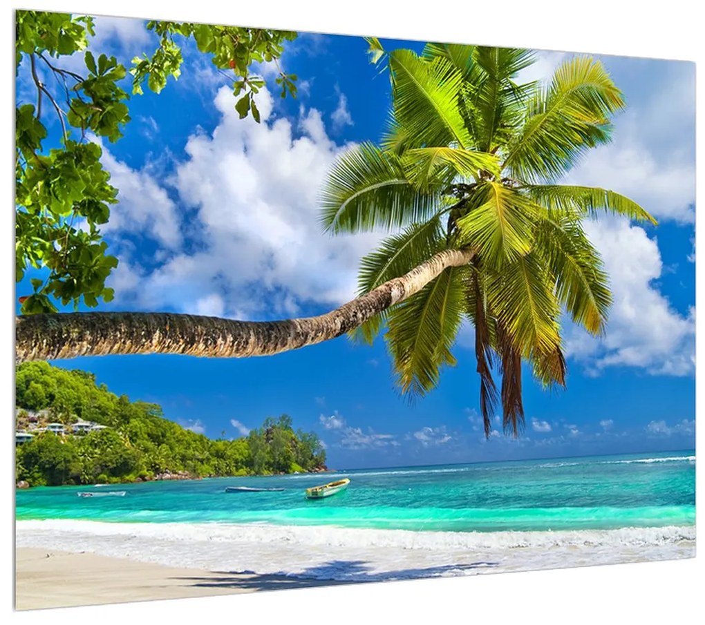 Obraz palmy a pláže (70x50 cm)