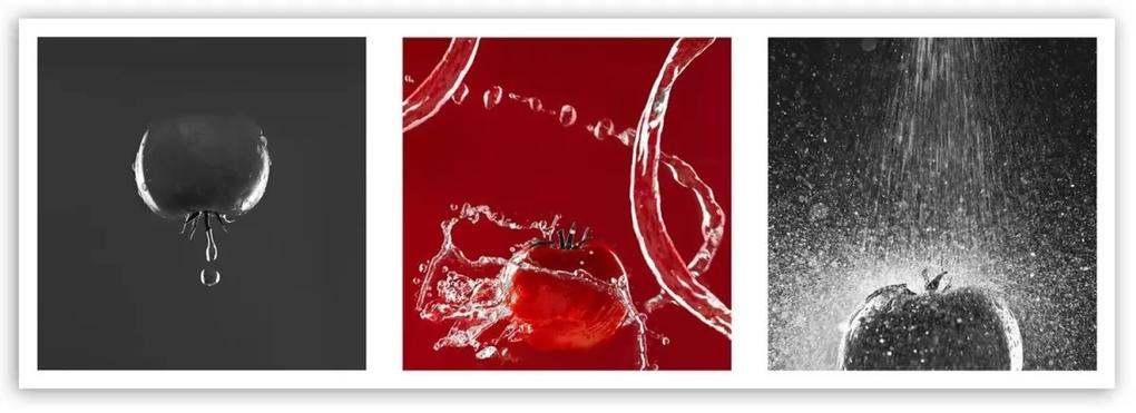 Obraz na plátně Sada rajčat ve vodě - 120x40 cm