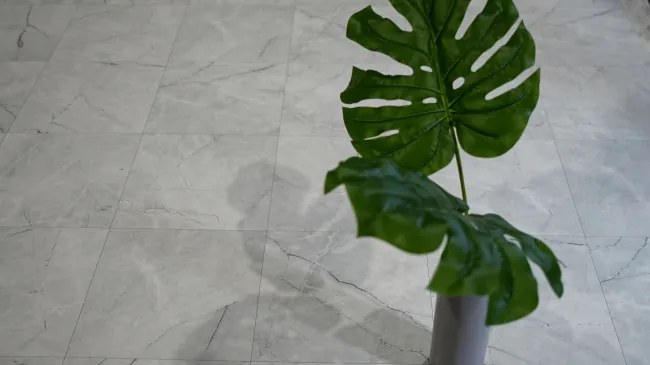 PVC podlaha Viva Venato S94 sivá