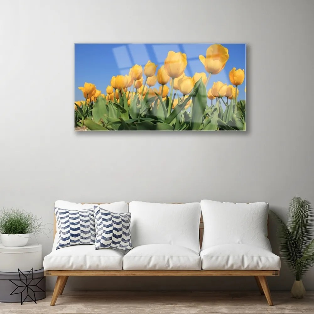 Obraz plexi Tulipány kvety rastlina 100x50 cm