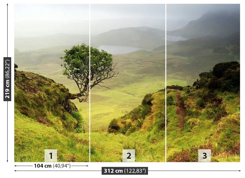 Fototapeta Vliesová Isle of skye škótsko 208x146 cm