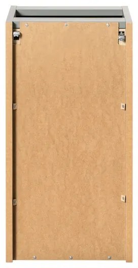 Závesná kúpeľňová skrinka Séria Trstina Zelená D 81-30-1D zelená