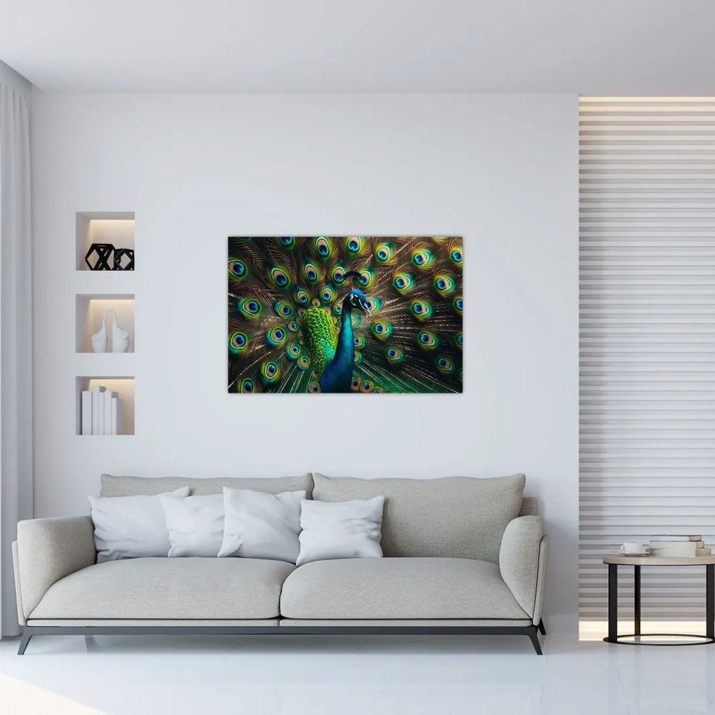 Obraz – Páv (90x60 cm)