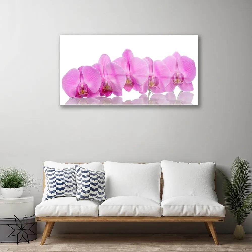 Skleneny obraz Ružová orchidea kvety 100x50 cm