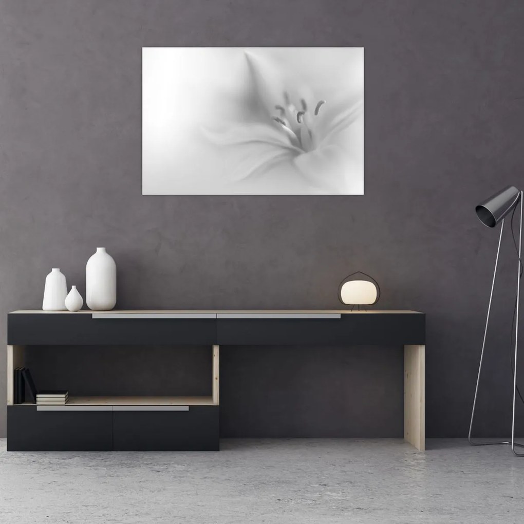 Obraz - Jemná ľalia (90x60 cm)
