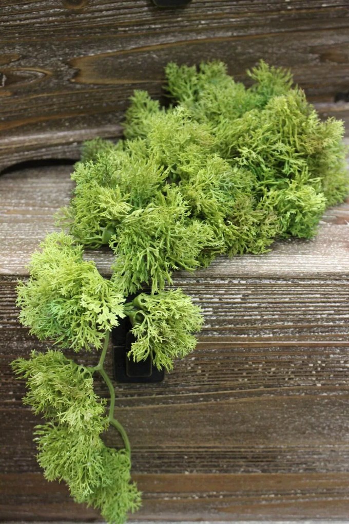 Zelený islandský mach 23cm