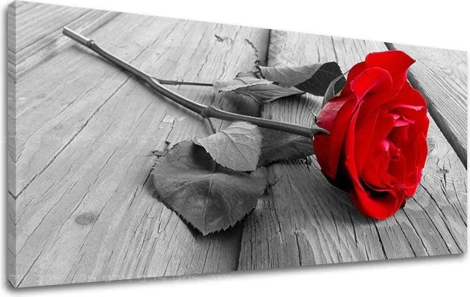 Obraz na stenu Panoráma KVETY XOBKV115E13 - 60x120 cm