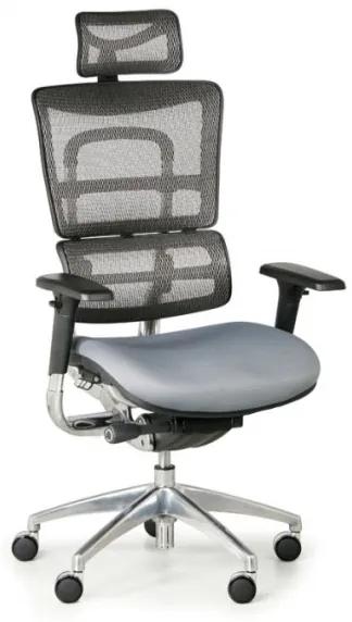 Multifunkčná kancelárska stolička WINSTON SAB, sivá