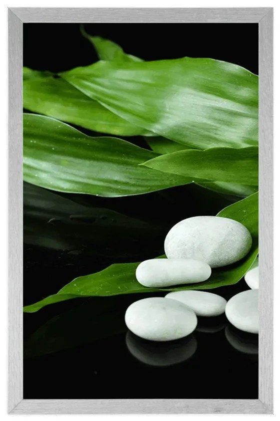 Plagát prírodná terapia - 60x90 silver