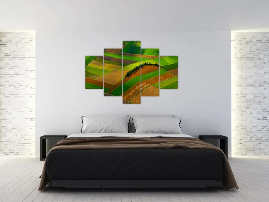 Obraz - Polia, lúky (150x105 cm)