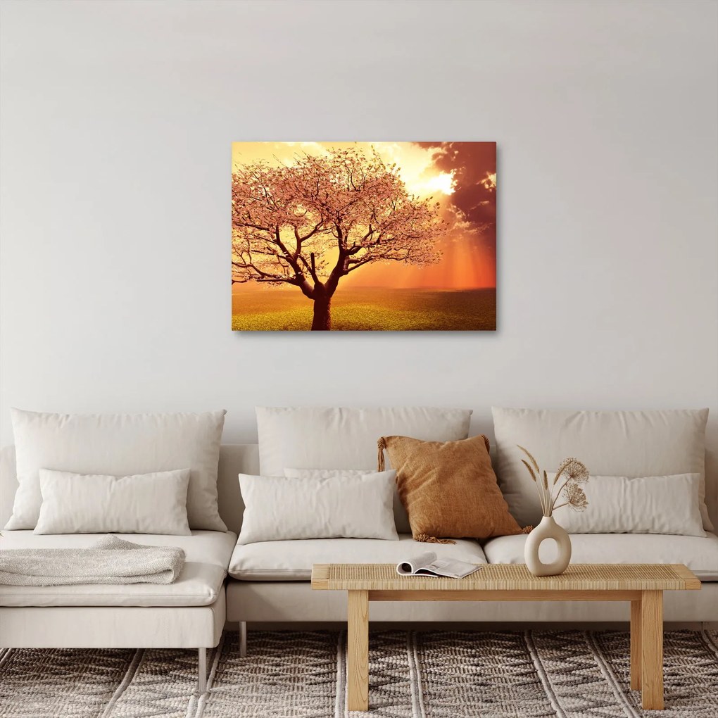 Obraz lúčov Boha (70x50 cm)