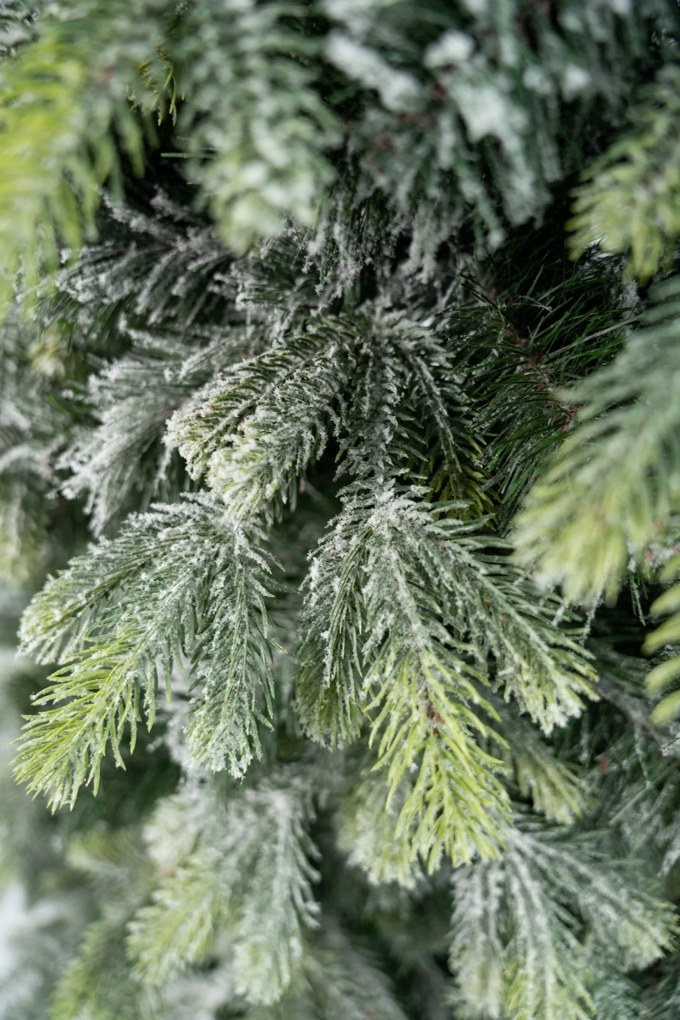 Limpol Kanadská zasnežená borovica 2,10 m