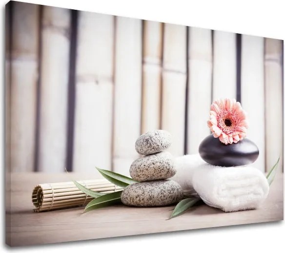 Obraz na plátne FENG SHUI_053-11