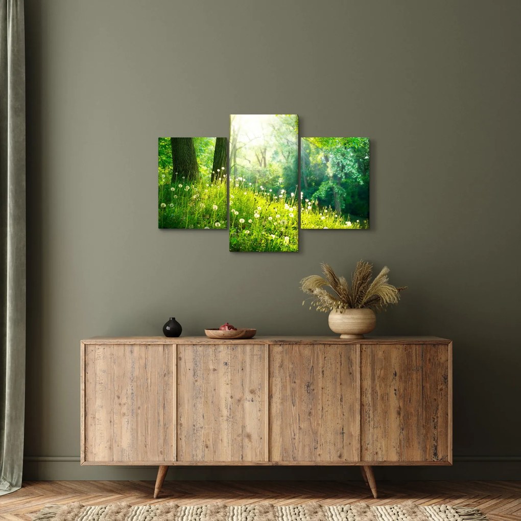 Obraz - Magická lúka plná púpav (90x60 cm)