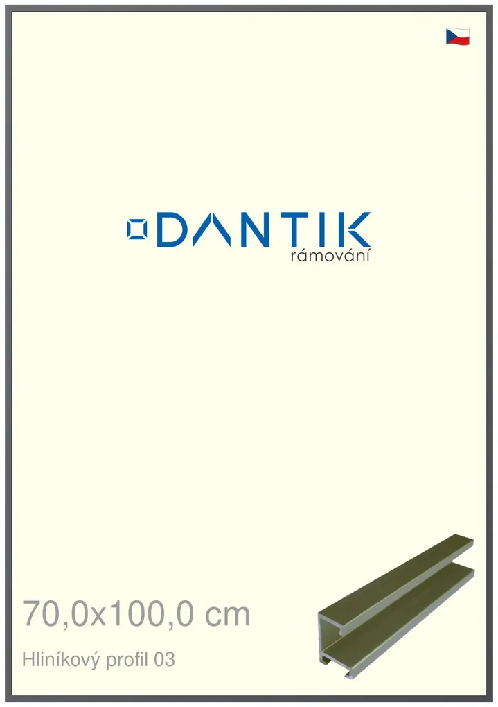 DANTIK rám na obraz 70x100 | ALU Platina matná (Plexi Čiré)
