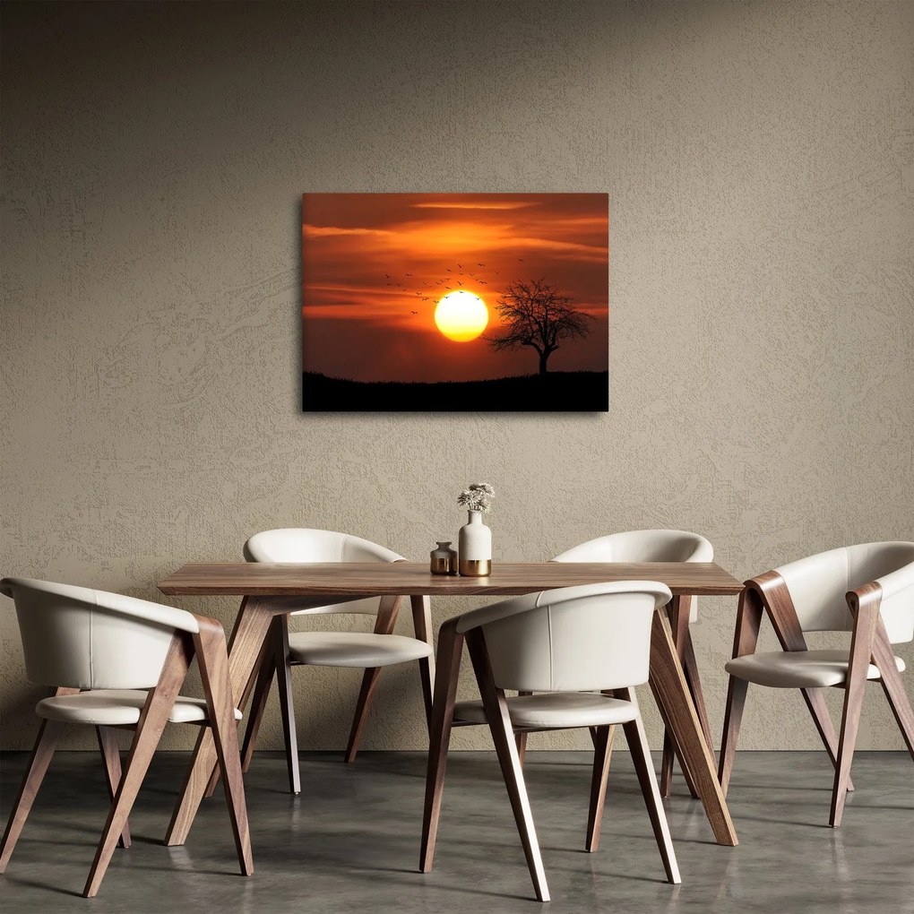 Obraz - Západ slnka (70x50 cm)