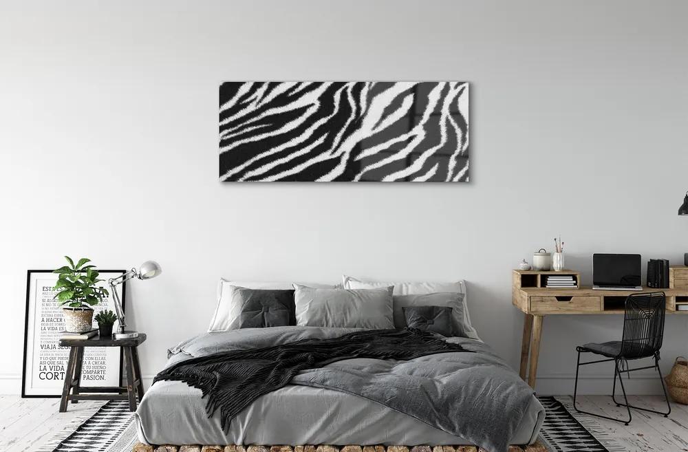 Obraz na akrylátovom skle Zebra fur 120x60 cm