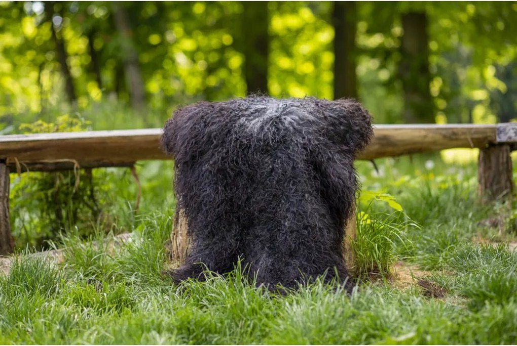 Ovčia kožušina GOTLAND tmavý