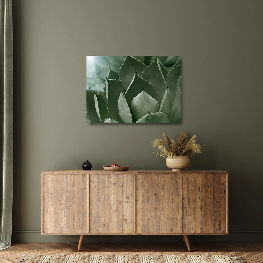 Sklenený obraz - Zelená agáve (70x50 cm)