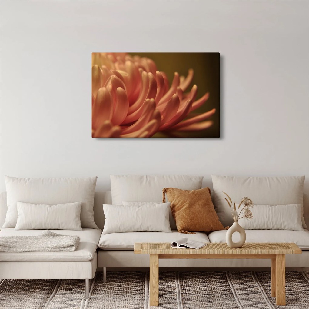 Obraz detailu kvety (90x60 cm)
