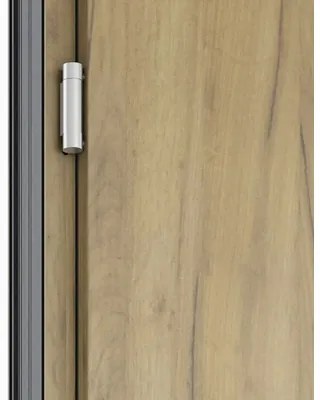 Kovové vchodové dvere S68 Neptun 90 P dub sonoma