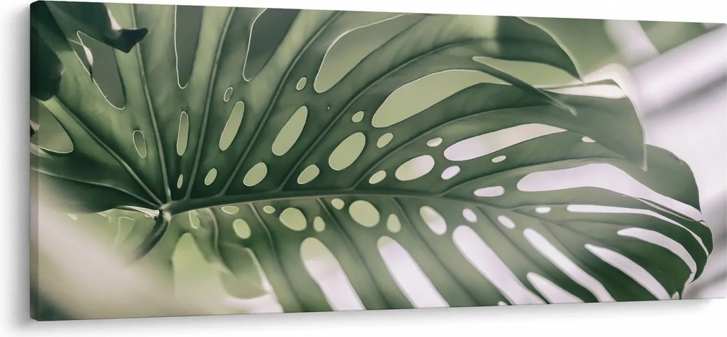 Obraz - List monštier (120x50 cm)