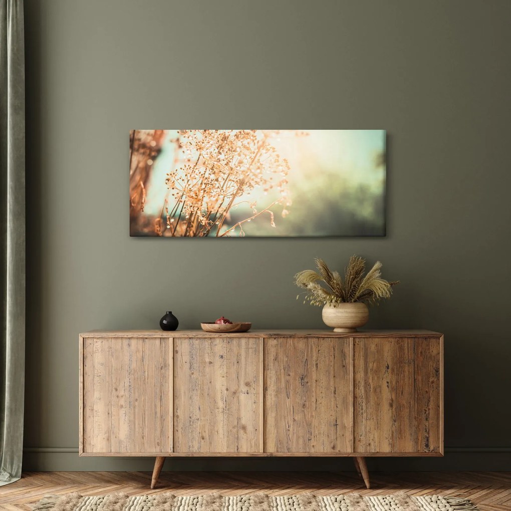 Obraz - Lúčne rastliny (120x50 cm)