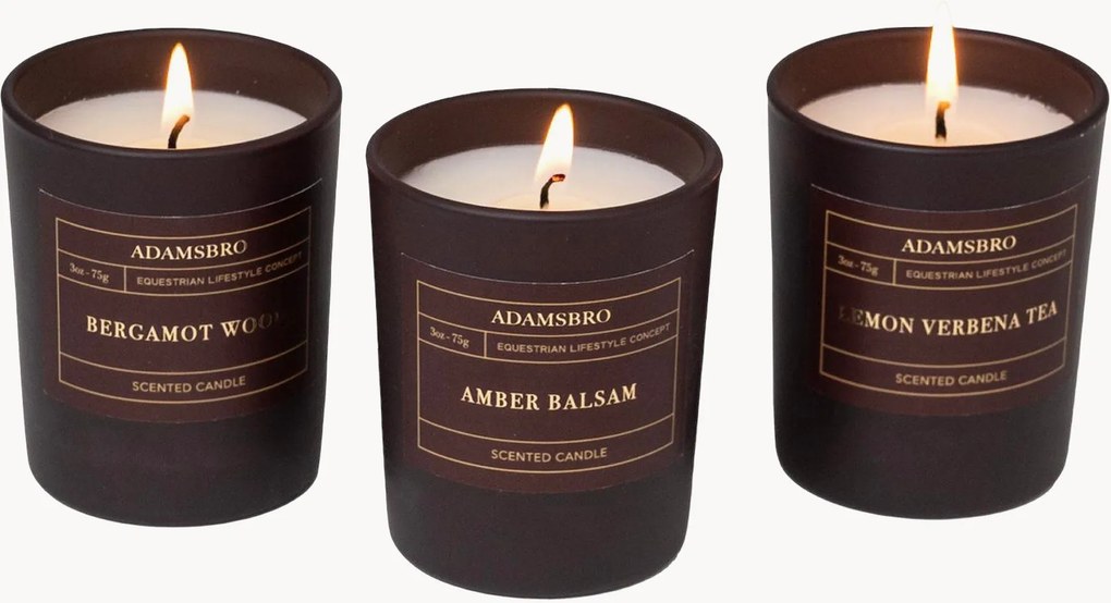 Vonné sviečky Adamsbro (Bergamot Wood, Amber, Lemon Verbena), 3 ks