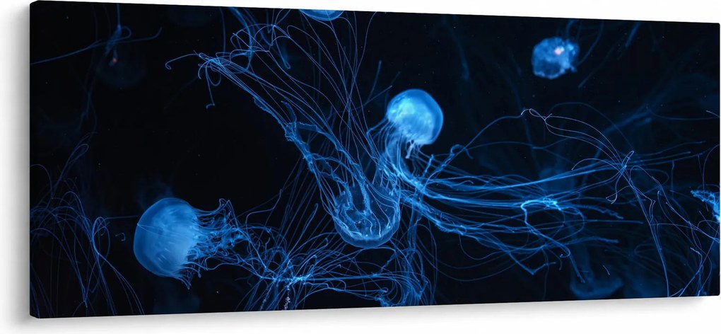 Obraz - Medúzy (120x50 cm)