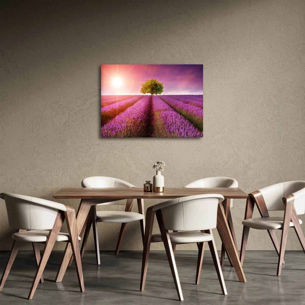 Obraz poľa s levanduľami (70x50 cm)