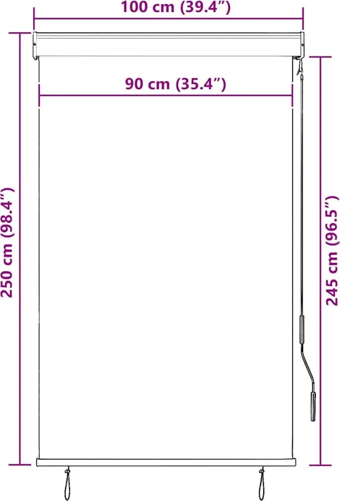 vidaXL Vonkajšia zatemňovacia roleta 100x250 cm krémová