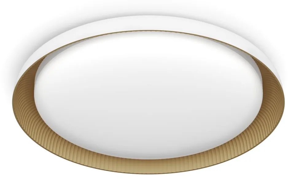 Philips - LED Stmievateľné stropné svietidlo PEBBLO LED/10W/230V 4000K biela