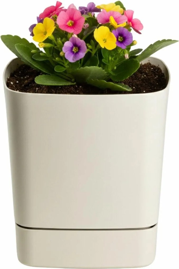 Plastový květináč s podmiskou Cubi 16x16 cm béžový