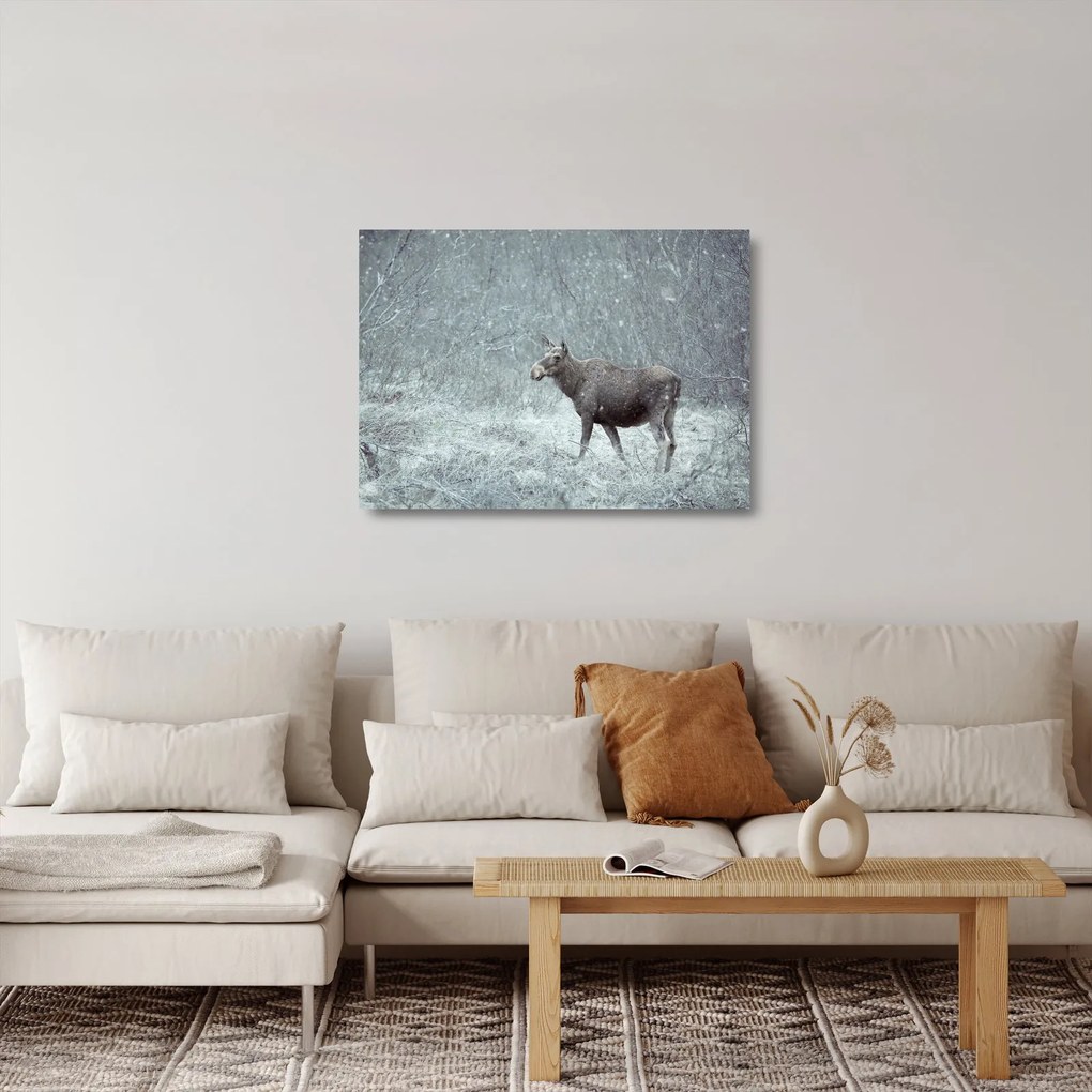 Sklenený obraz - Los v zasneženom lese (70x50 cm)