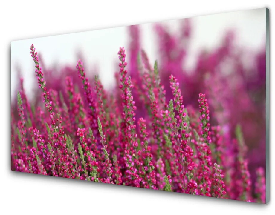 Skleneny obraz Kvety lúka príroda 140x70 cm
