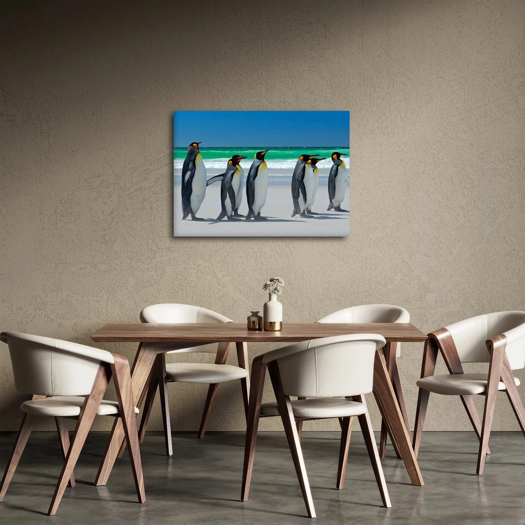 Obraz - Skupina kráľovských Tučniakov (70x50 cm)