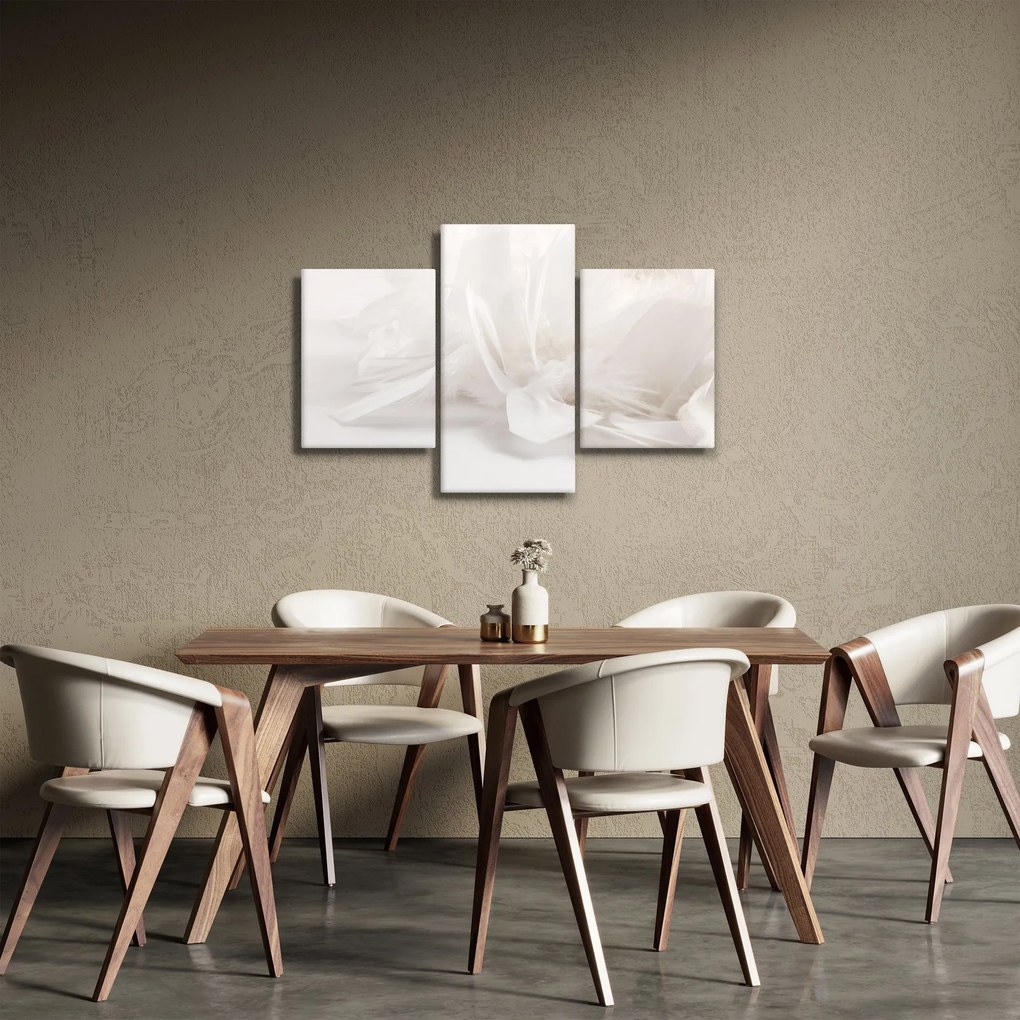 Obraz - Perie (90x60 cm)